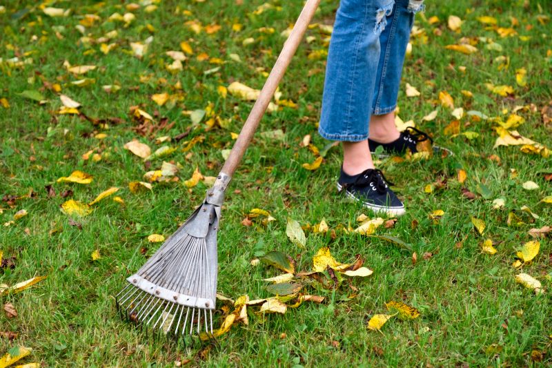 Leaf Raking in Progress