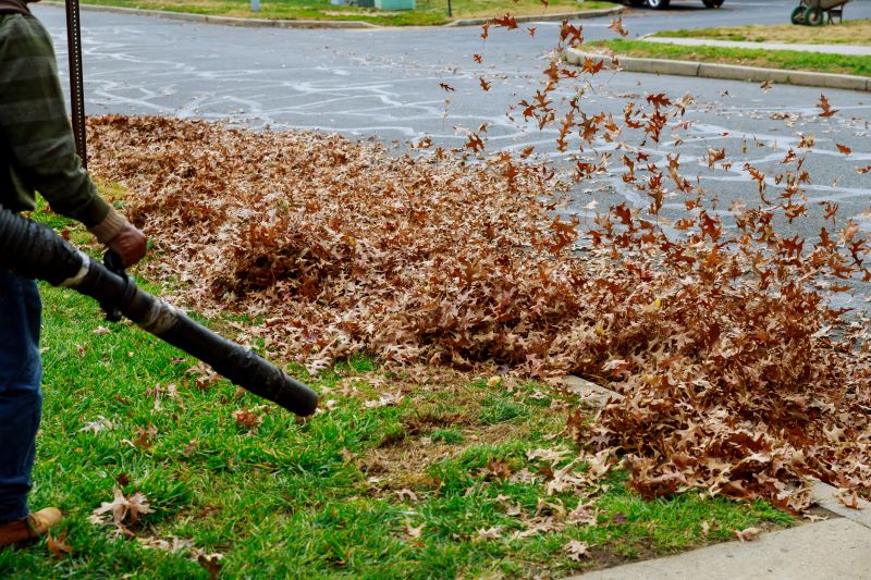 Leaves Being Blown into Piles