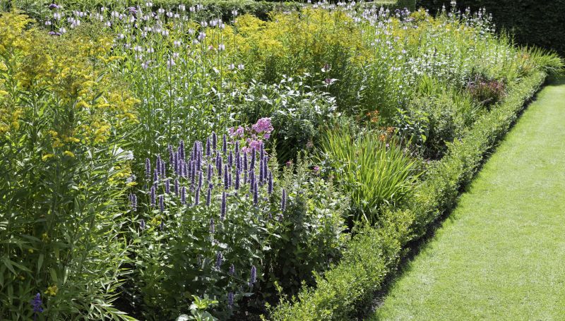 Native Plant Installations