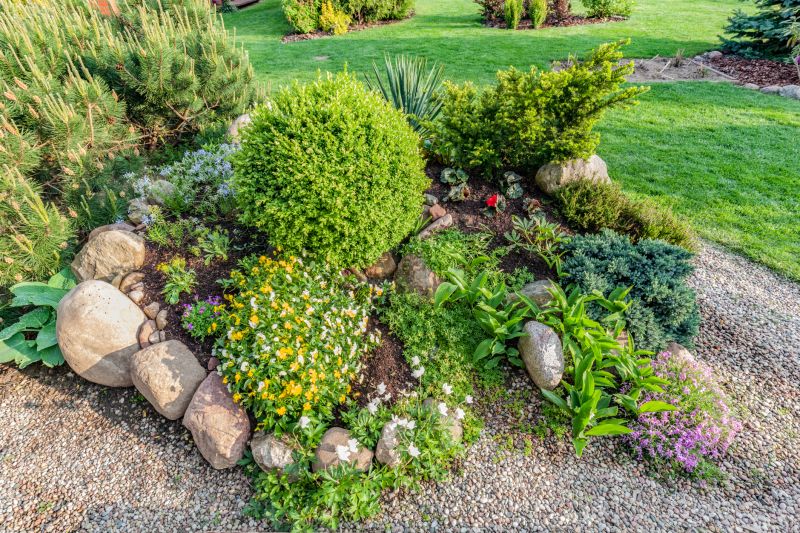Rock Landscaping