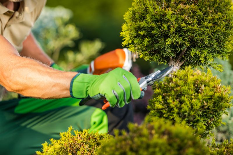Garden Maintenance Professionals