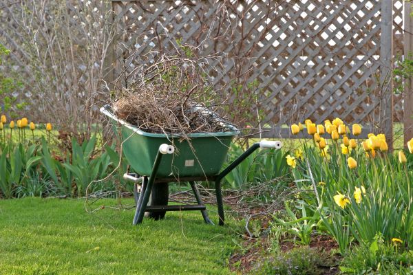Flower Bed Cleanup Service in Hayward