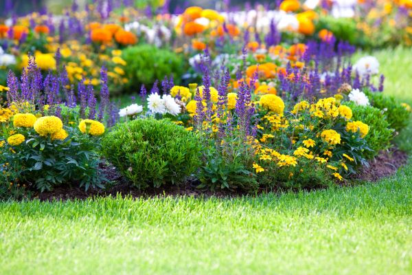 Flower Bed Maintenance in Hayward