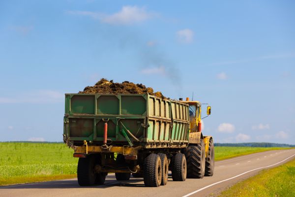 Bulk Soil Delivery in Hayward