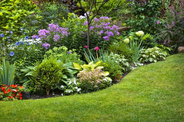 Flower Bed Service in Hayward