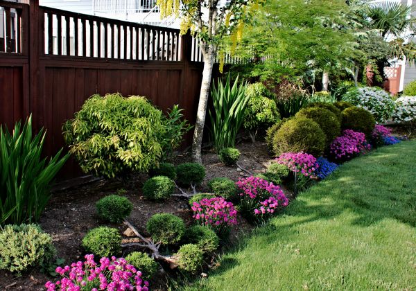 Garden Care Service in Hayward