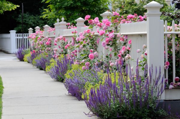 Garden Handyman Service in Hayward