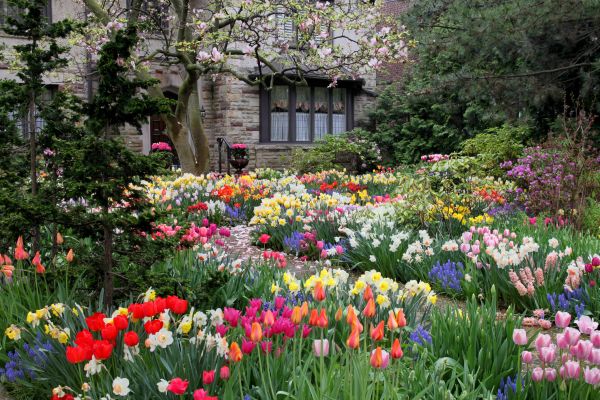 Garden Maintenance Service in Hayward