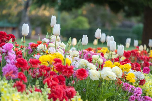Gardening Service in Hayward
