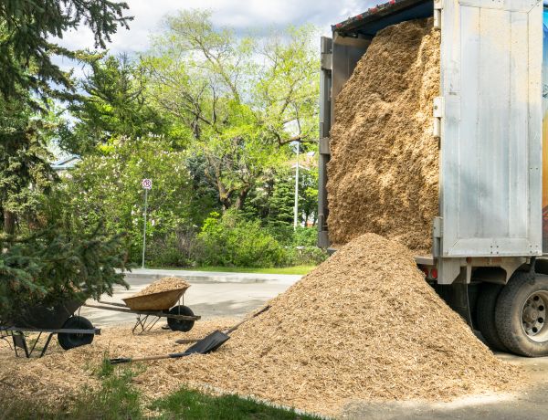 Wood Chips Delivery in Hayward