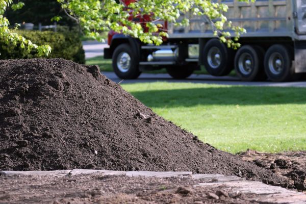 Yard Dirt Delivery in Hayward
