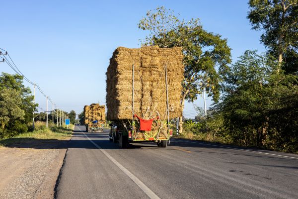 Pine Straw Delivery in Hayward