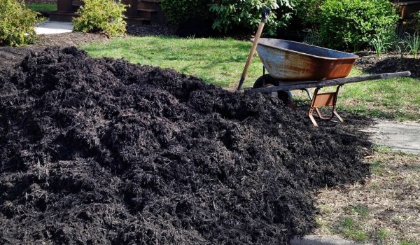 Black Mulch Delivery in Hayward