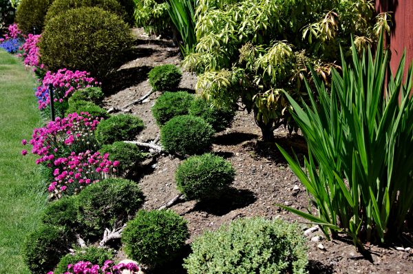 Residential Gardening in Hayward
