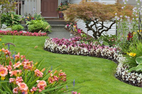 Perennial Landscaping in Hayward