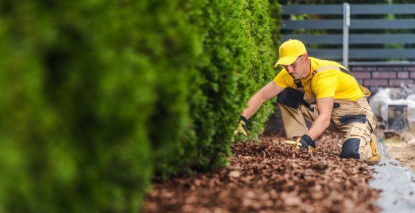 Cypress Mulch Installation in Hayward