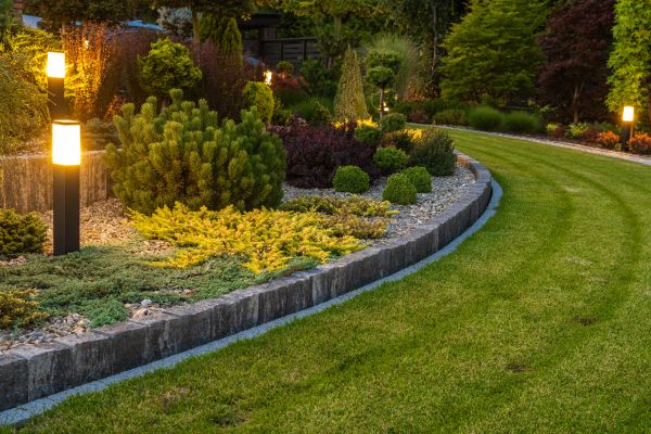 Garden Repair Service in Hayward