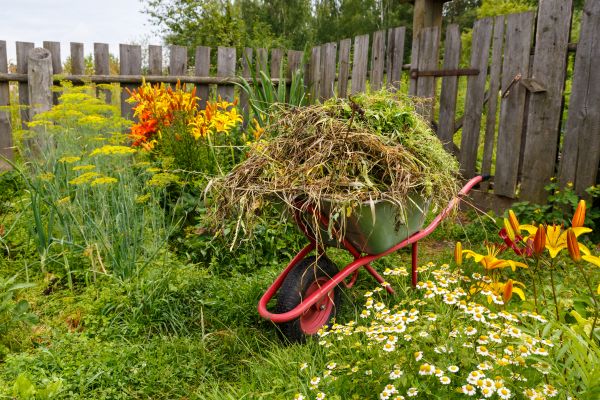 Garden Cleanup Service in Hayward