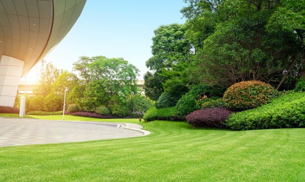 Business Landscape Design in Hayward