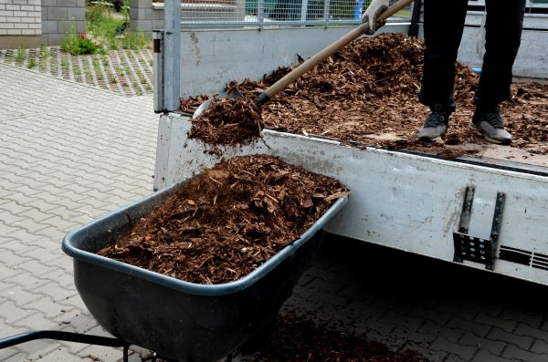 Landscape Mulch Delivery in Hayward