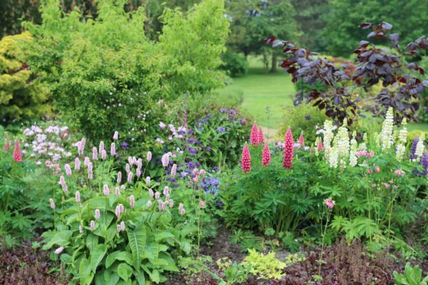 Flower Bed Planting in Hayward