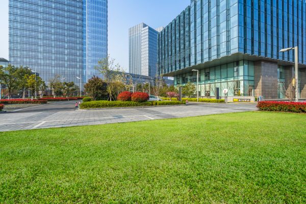 Industrial Landscaping Service in Hayward