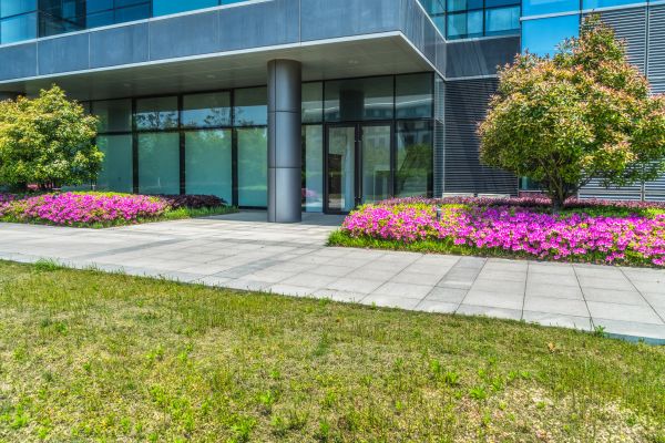 Commercial Gardening in Hayward