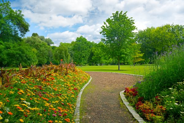 Park Landscaping in Hayward