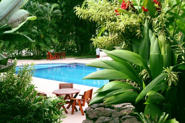 Tropical Garden Landscaping in Hayward