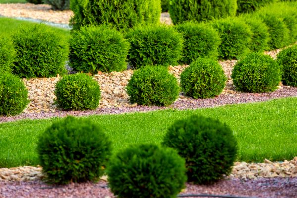 Bush Installation in Hayward