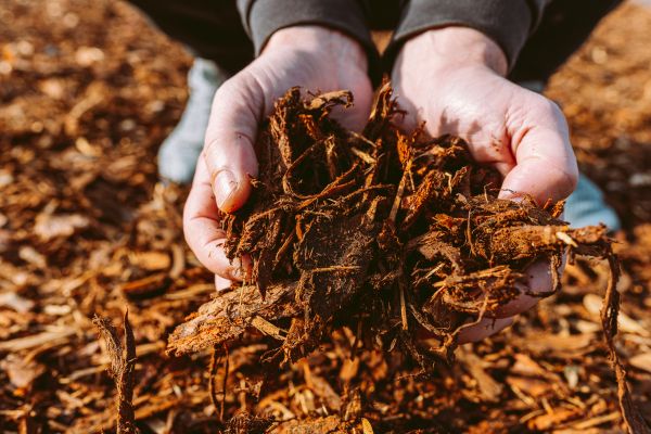 Bark Chips Delivery in Hayward