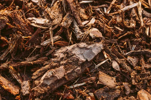 Bark Mulch Delivery in Hayward