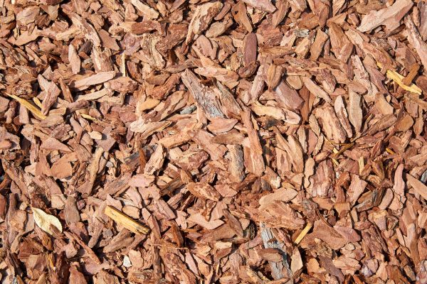 Pine Mulch Delivery in Hayward