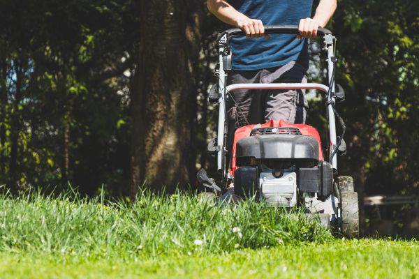 Garden Trimming Service in Hayward
