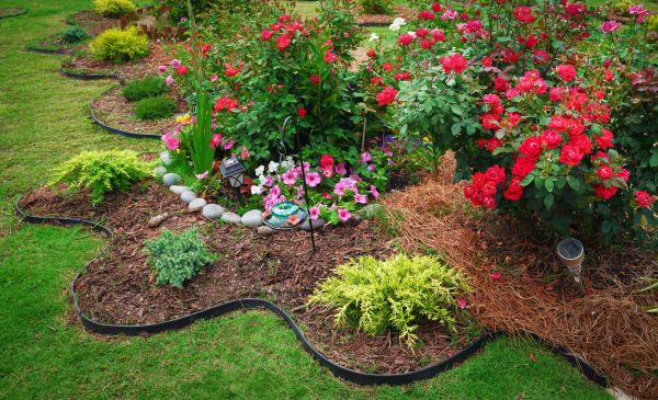 Floral Landscaping in Hayward