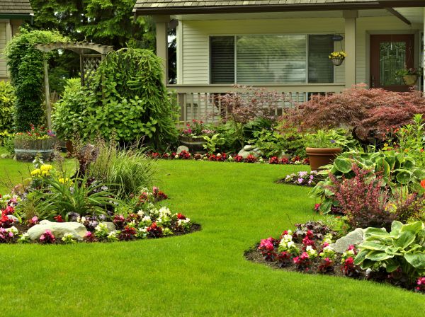 Flower Garden Planting in Hayward