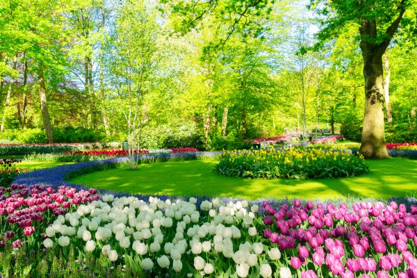 Flower Landscaping in Hayward