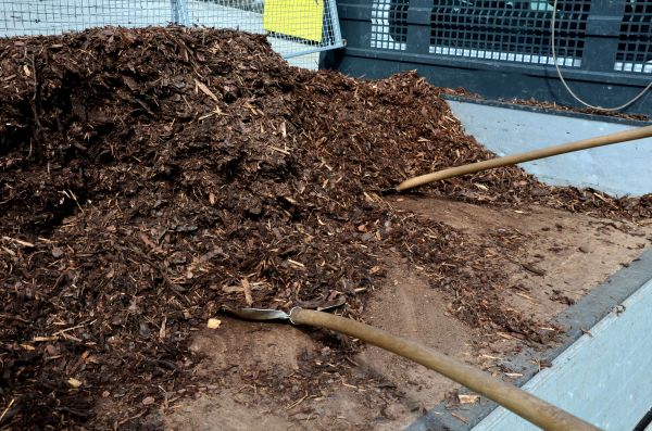 Cedar Bark Delivery in Hayward