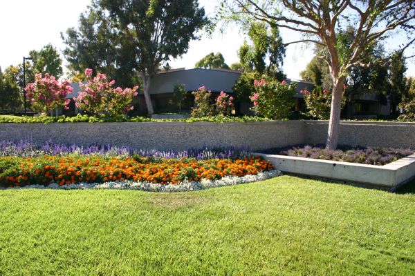 Commercial Landscape Service in Hayward
