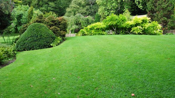 Commercial Landscape Design in Hayward