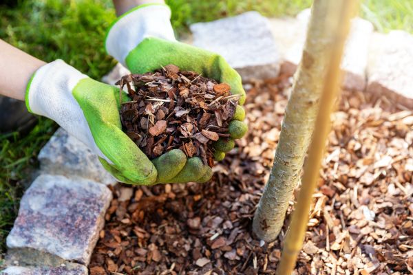 Tree Bark Delivery in Hayward