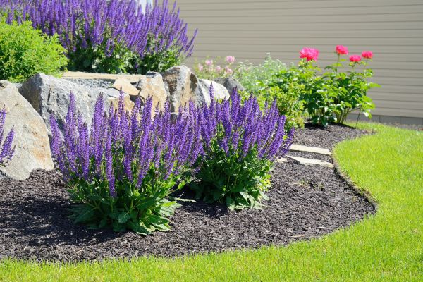 Landscape Planting Service in Hayward