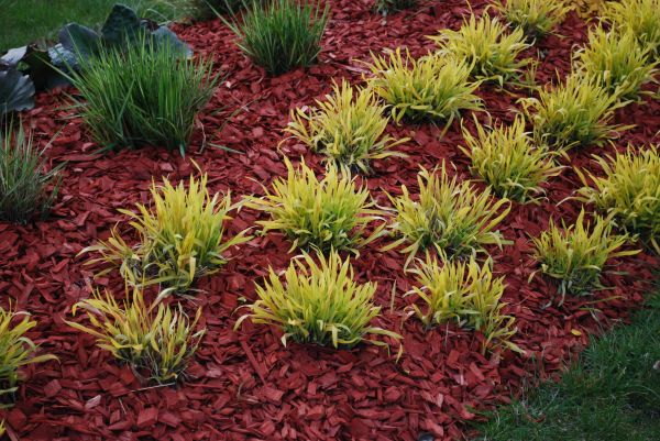 Red Mulch Installation in Hayward