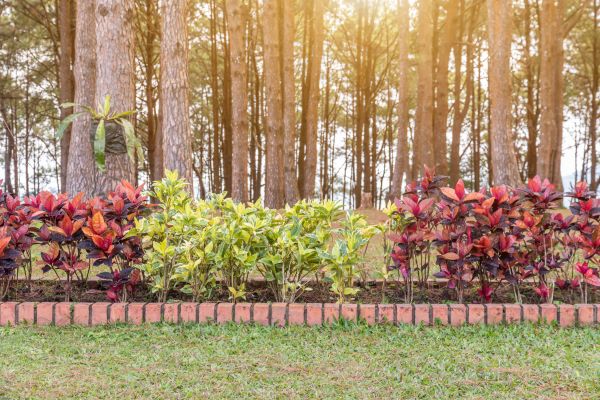 Small Garden Landscaping in Hayward