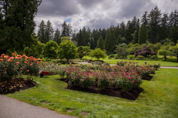 Flower Garden Landscaping in Hayward
