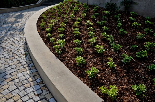 Commercial Mulching in Hayward