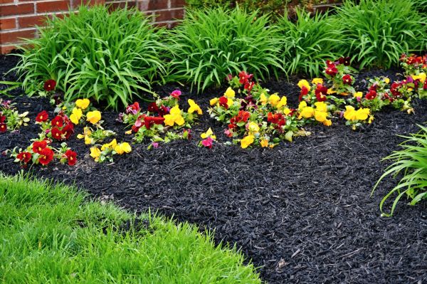 Apartment Mulching in Hayward